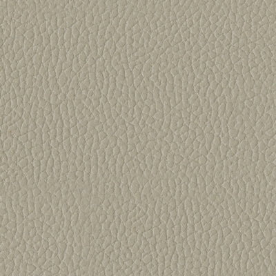 Ryversans Power Recliner