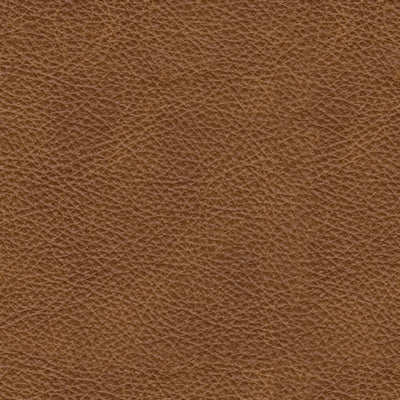 Carianna Queen Sofa Sleeper