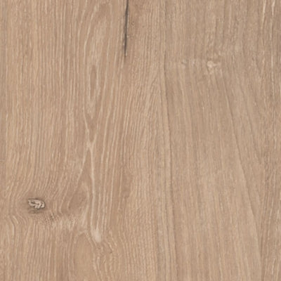 Cielden King Panel Bed