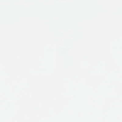 Bostwick Shoals Full Panel Rails