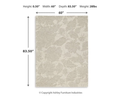 Chadess 5' x 7' Rug