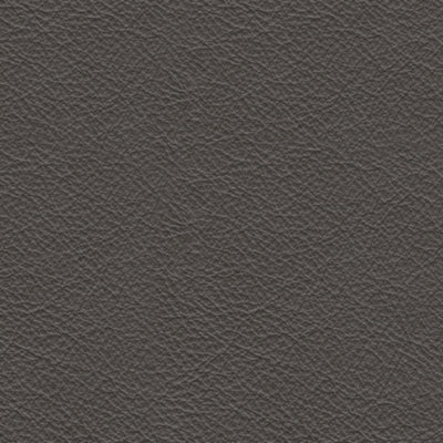 Dearview Power Recliner