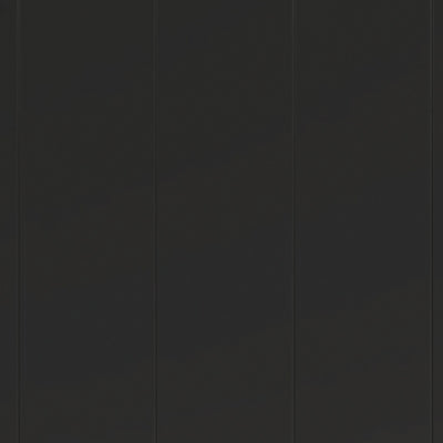 Nextonfort Twin/Full Bunk Rails/Ladder