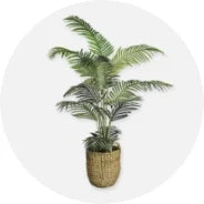 Faux Plant