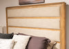 Rencott Queen Upholstered Panel Headboard