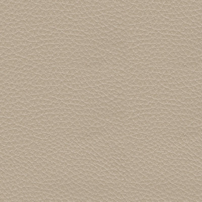 Pisgham Power Recliner