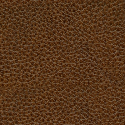 Francesca Power Reclining Sofa and Loveseat